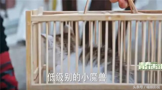 斗破苍穹脑洞,脑洞大开的布娃娃