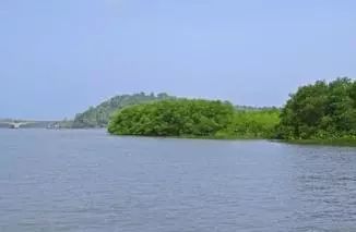 「每日微报」支付宝转账时备注标签要交20%的税？这是谣言！