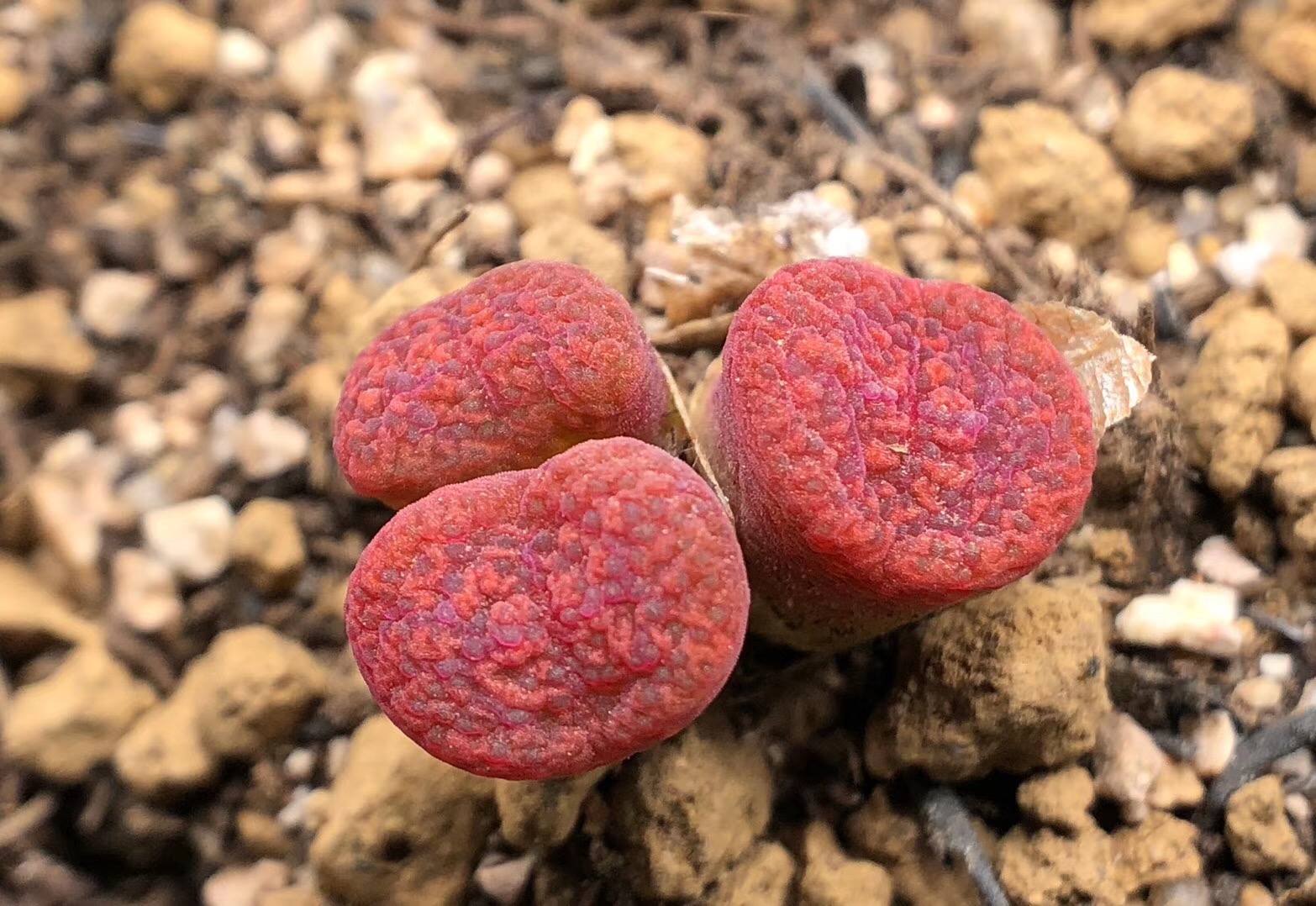 慢生活轻阅读,慢生活完整