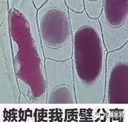 女子买了一双12000的鞋子,女生想买6000鞋