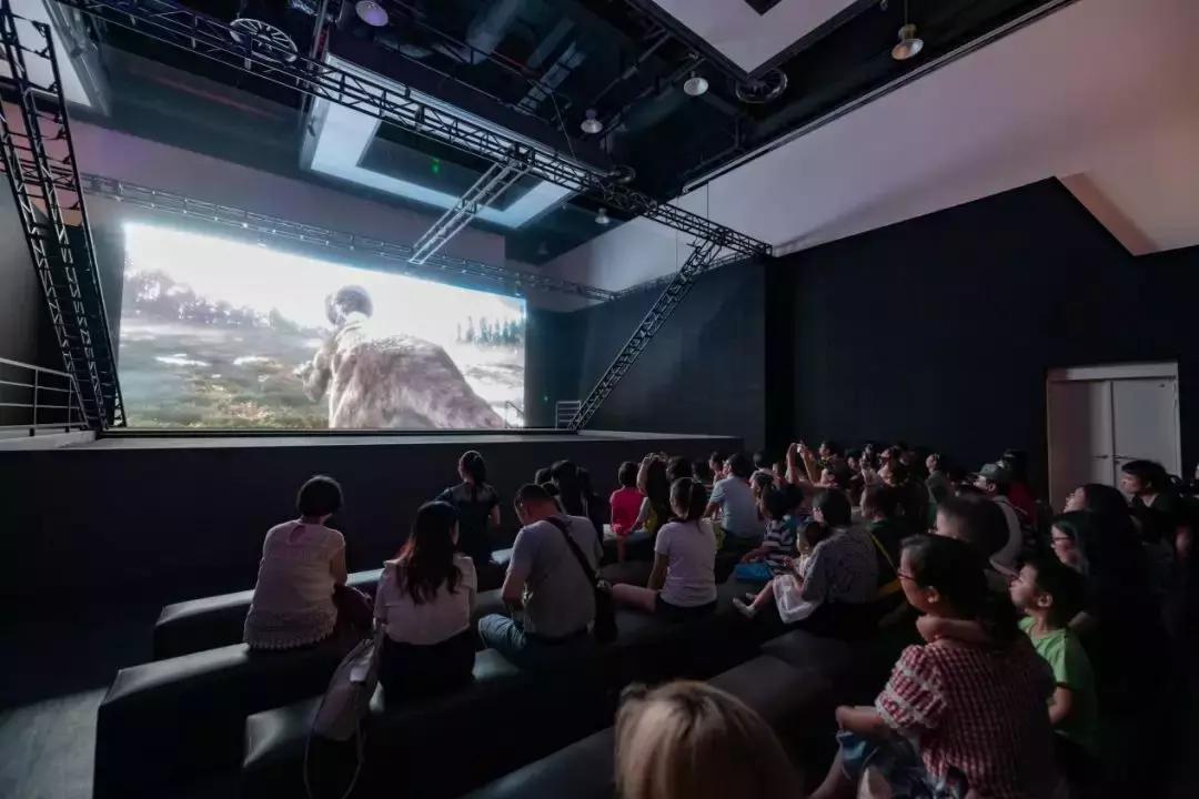 2018cae上海展,2018caac猫展冠军