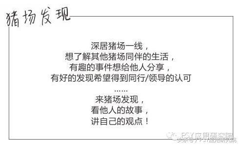 猪场消毒剂过敏怎么办,母猪输液过敏怎么处理