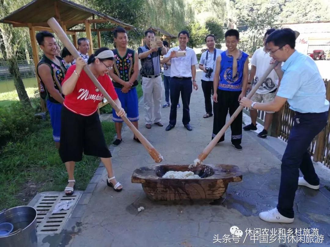 农业体验活动创意项目,休闲农业体验活动评估