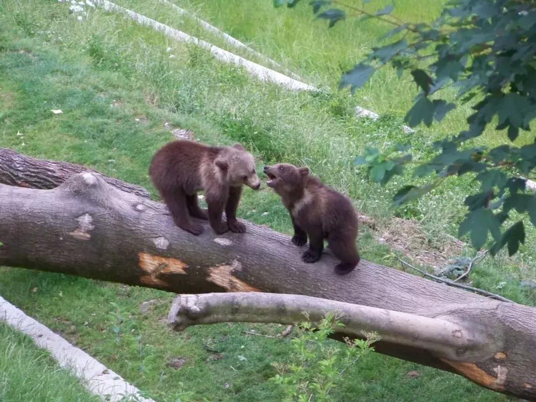 比周杰伦大婚的地方更震撼，还是迪士尼城堡原型地！快来打卡！