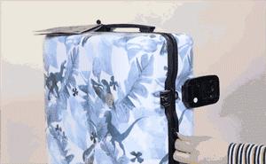 谢娜出行活动凯凯,马天宇谢娜互怼