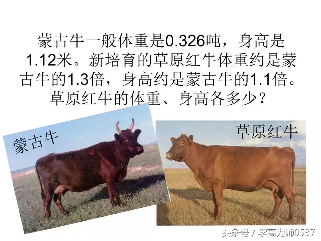 五年级数学上册小数乘法重点知识,五年级小数乘法竖式计算题500题
