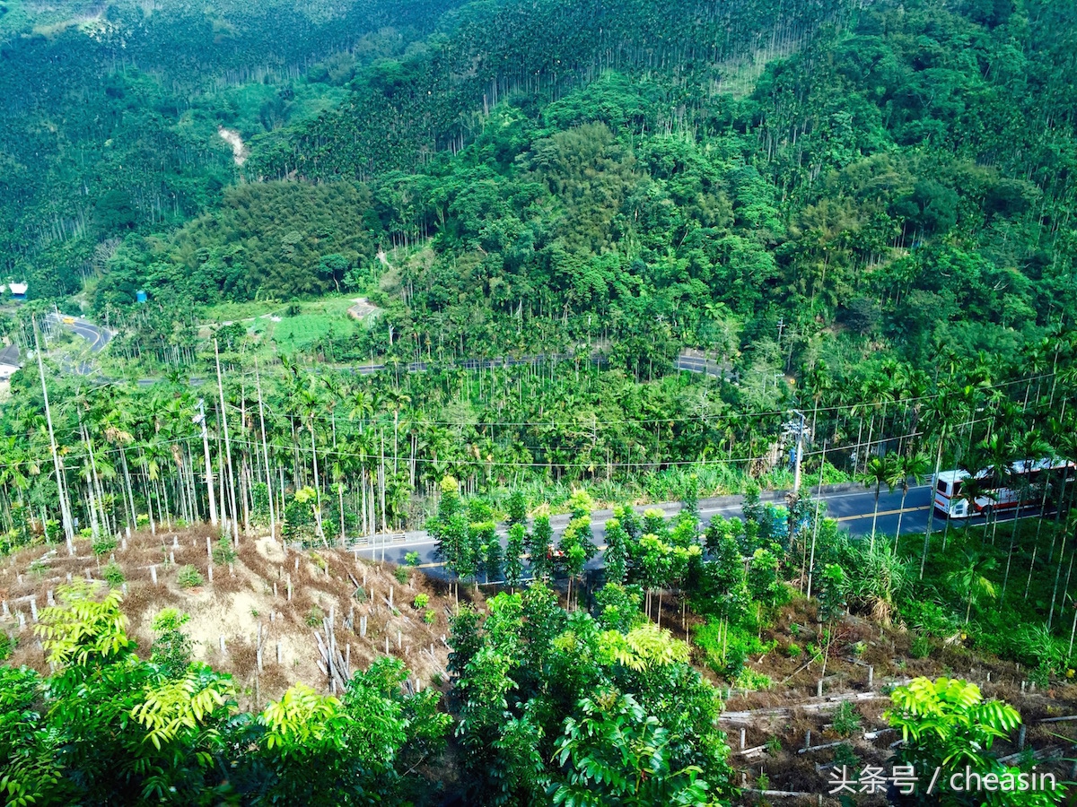 鍙版咕鐨勬捣鍩熷お骞虫磱,鍙版咕鐨勫お骞虫磱娴锋磱