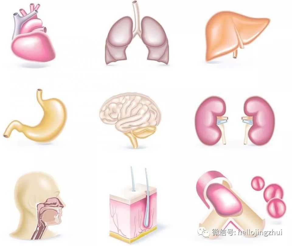 胸口有燃烧的感觉,胸口有团火感觉喉咙有火吃什么药