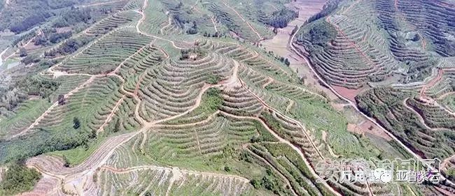 安顺旅游新闻发布会,安顺黄果树旅发大会直播