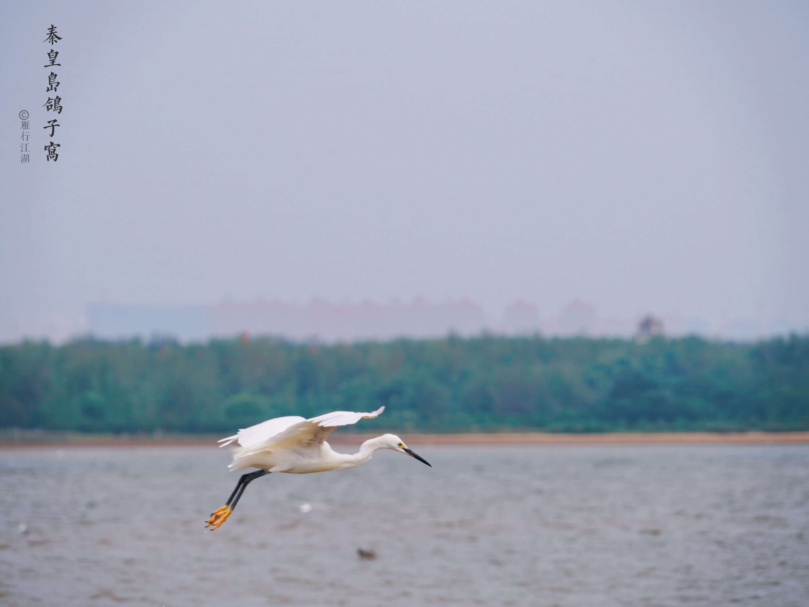秦皇岛最佳观日出地点,秦皇岛市区日出最佳观赏地