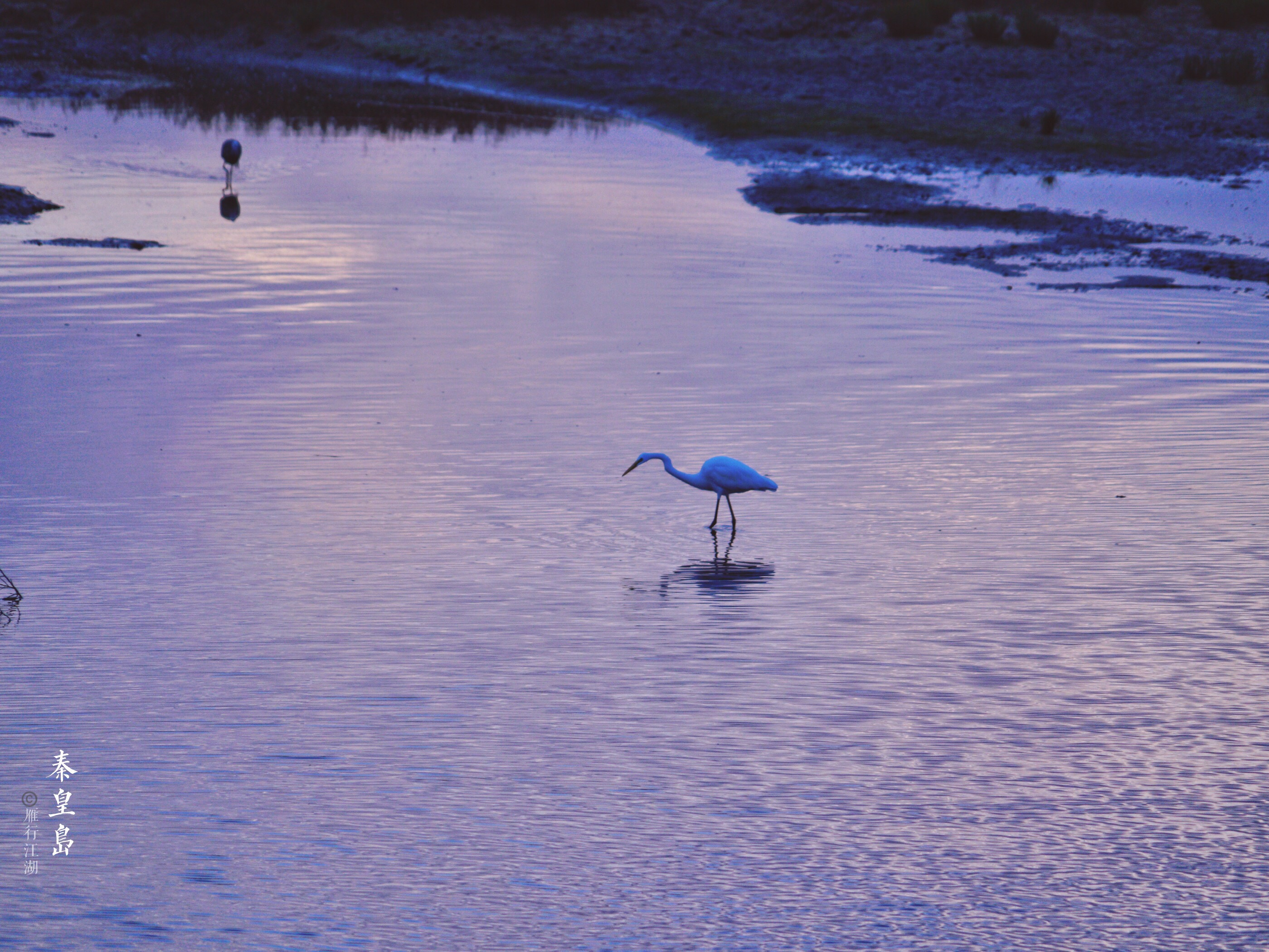 秦皇岛最佳观日出地点,秦皇岛市区日出最佳观赏地