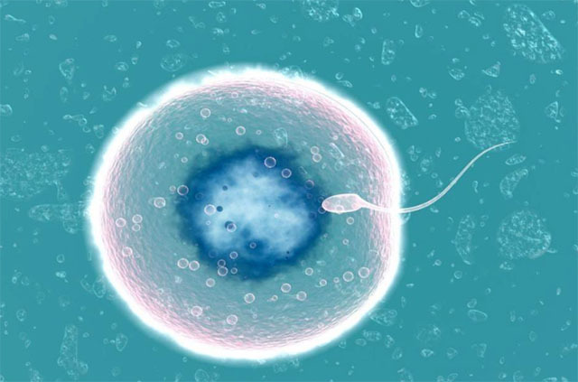 女人小腹痛,别忽视4种妇科炎症