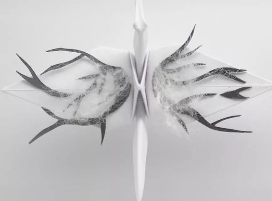 每天折一个千纸鹤,每天折一只纸鹤