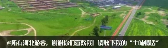 北方最大的银杏林在哪里,中国最大面积的银杏树林在哪里