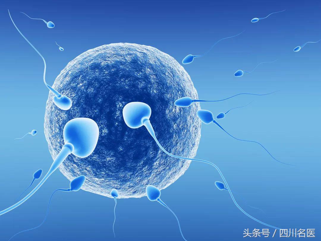 人类精子变少,40年男性精子数量