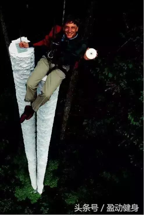 14岁贝克汉姆,14岁贝克汉姆的儿子