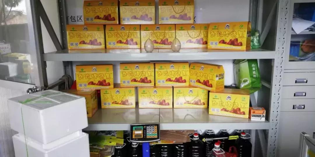 和政县三合镇尕新庄村,临夏州和政县三合镇尕新庄村