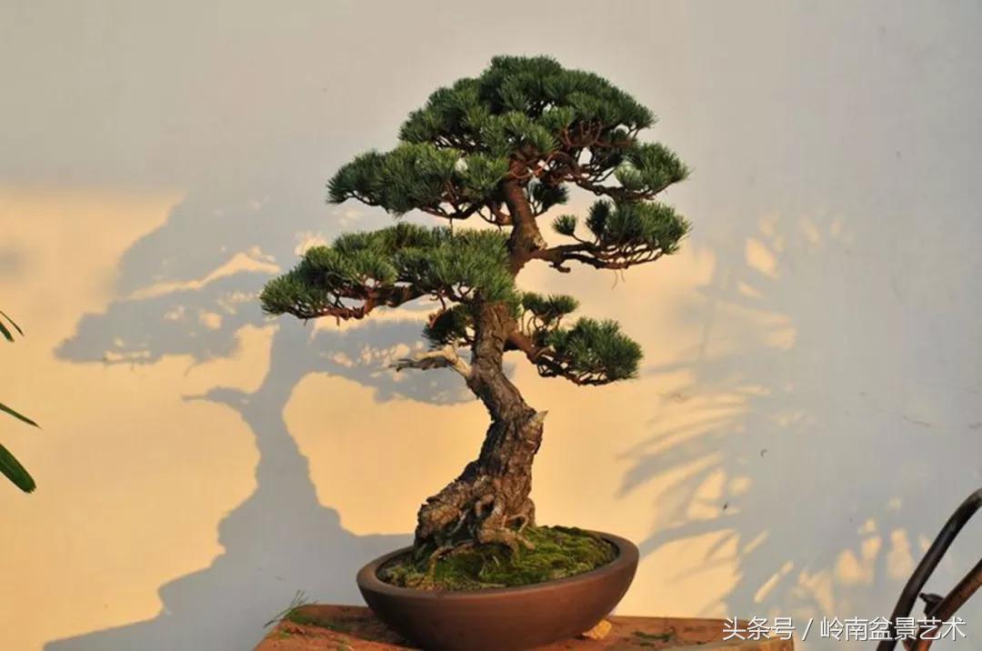 神来之笔绘画作品欣赏,神来之笔书法作品大全