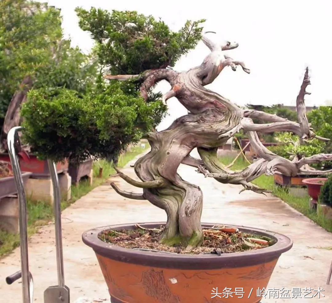 神来之笔绘画作品欣赏,神来之笔书法作品大全