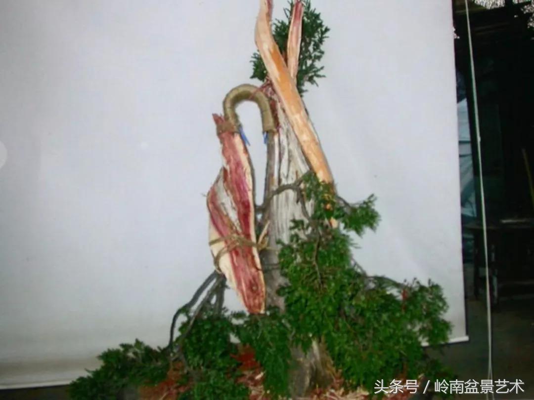 神来之笔绘画作品欣赏,神来之笔书法作品大全