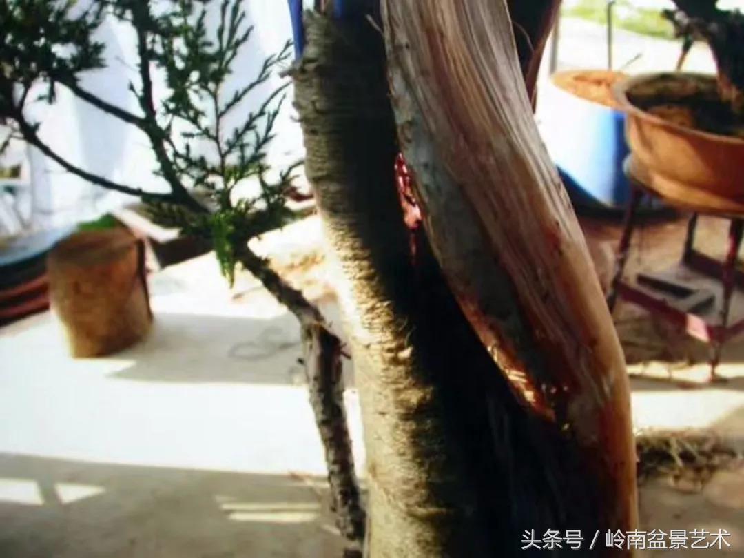 神来之笔绘画作品欣赏,神来之笔书法作品大全