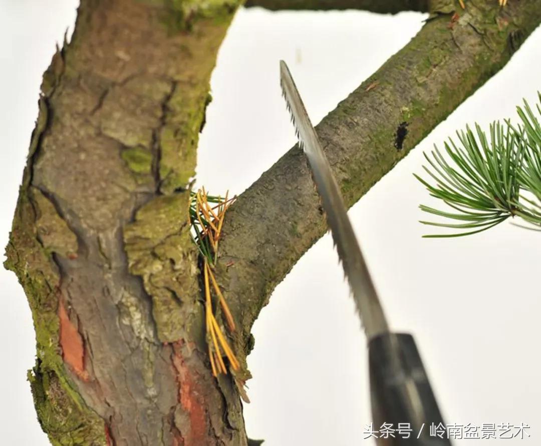 神来之笔绘画作品欣赏,神来之笔书法作品大全