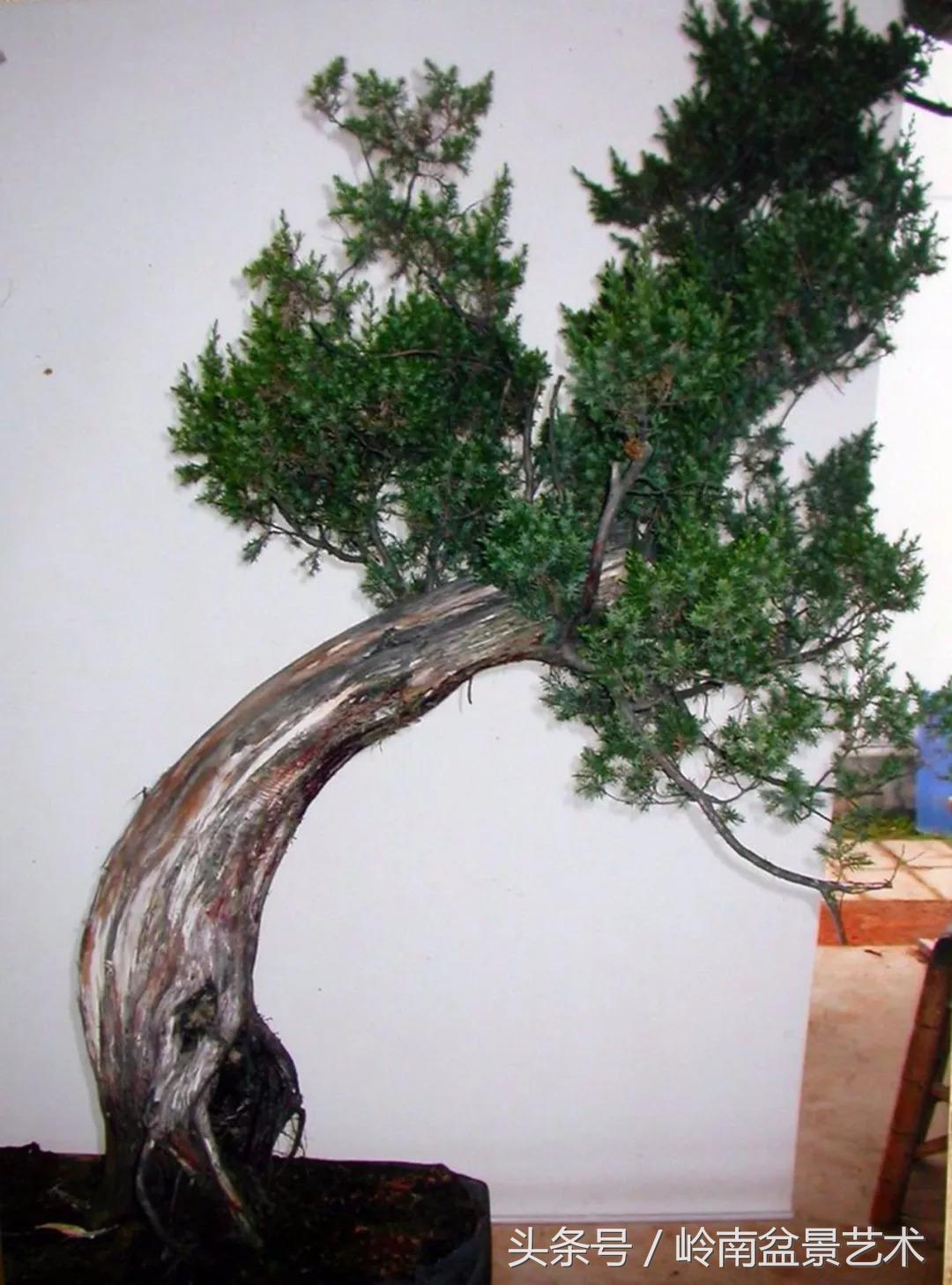 神来之笔绘画作品欣赏,神来之笔书法作品大全