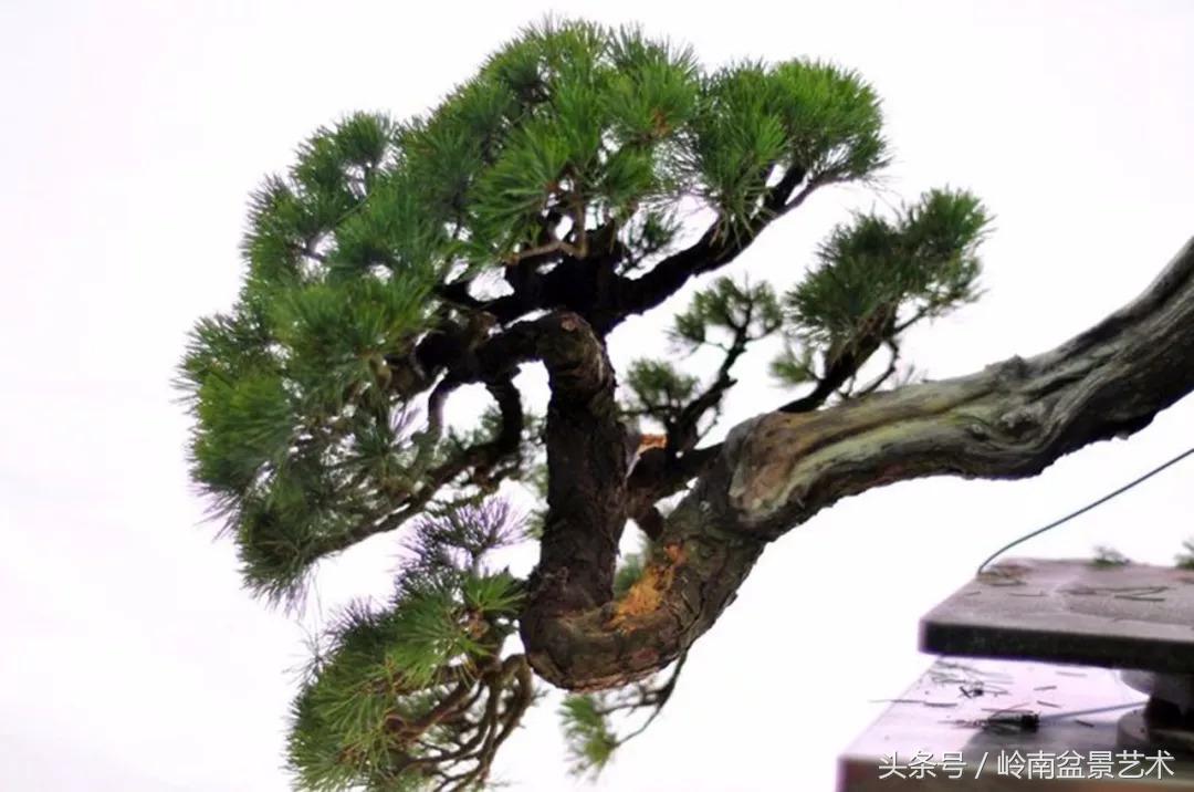 神来之笔绘画作品欣赏,神来之笔书法作品大全