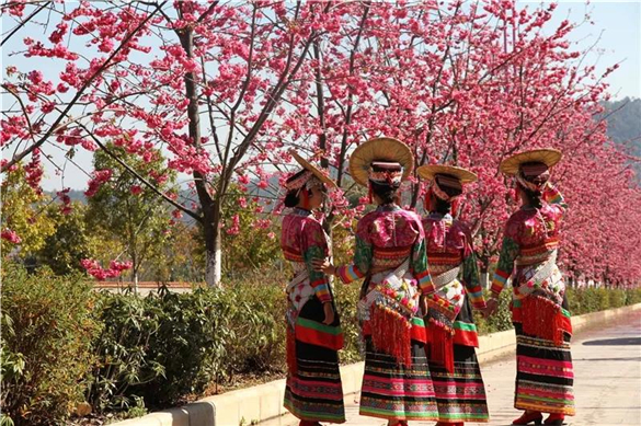 云南傣族服饰的认识和了解,傣装衣服款式图