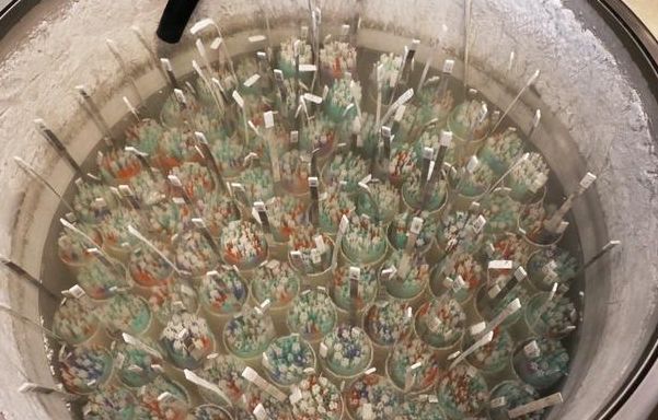 美国生殖产业隐患大：2757号捐精者后*开代**派对，来了45个人，仍没到齐