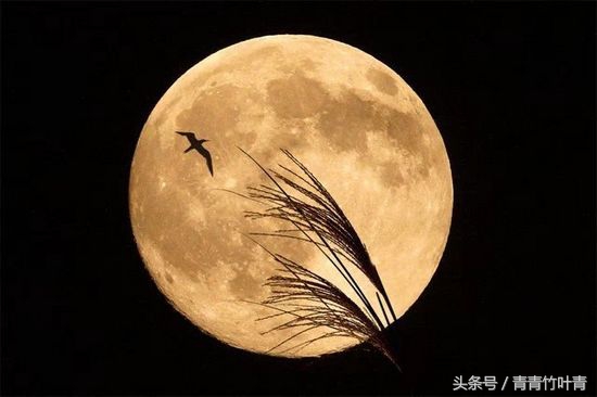 关于月亮的诗句你还知道哪些,关于月亮的三句诗句很常见