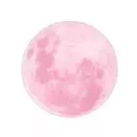 秋分中国农民丰收节会议视频,秋分共庆中国农民丰收节