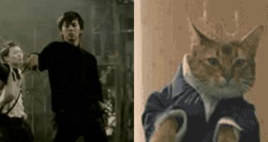 为什么放的屁都是臭的呢 (为什么放的屁那么臭啊)