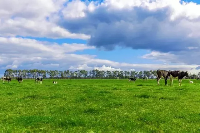 福州一套房可以买几个车位,国外可以买福州五城区房吗