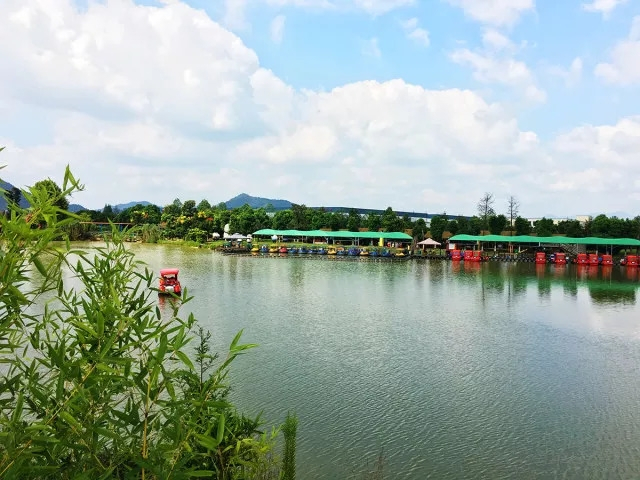 国庆田园嘉乐比，六重惊喜等着你！