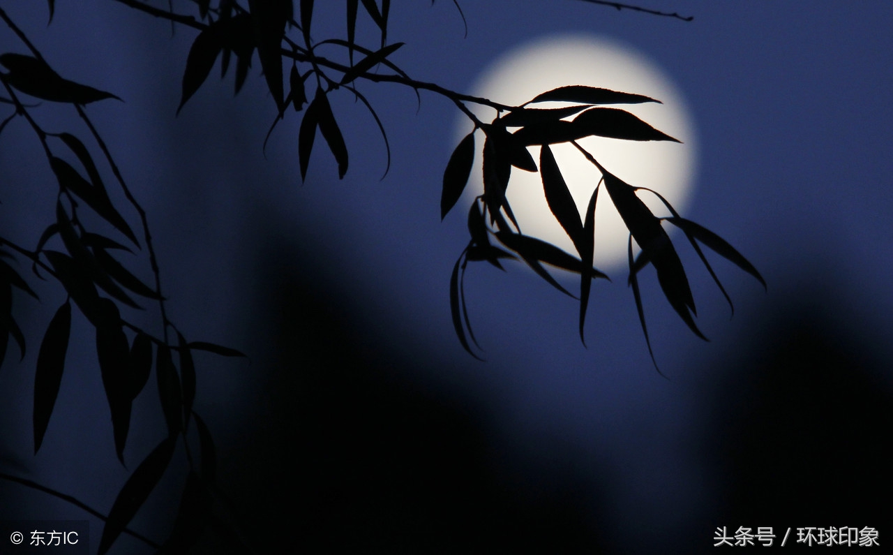 中秋节哪些实用的礼物,中秋节发的礼物还真够奇葩的