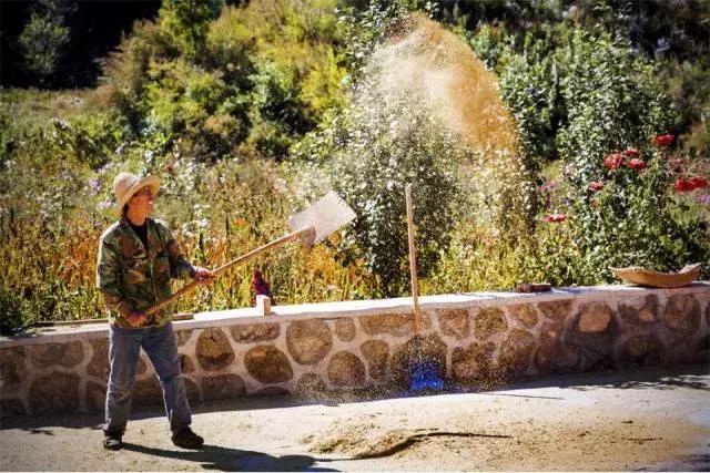 农村小院这样改不仅漂亮还能挣钱,如何低成本打造农村小院