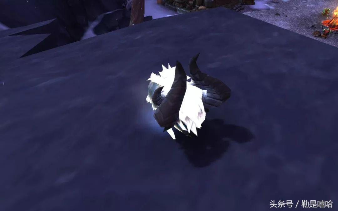 魔兽世界各种稀有宠物排名,魔兽世界稀有宠物排行榜