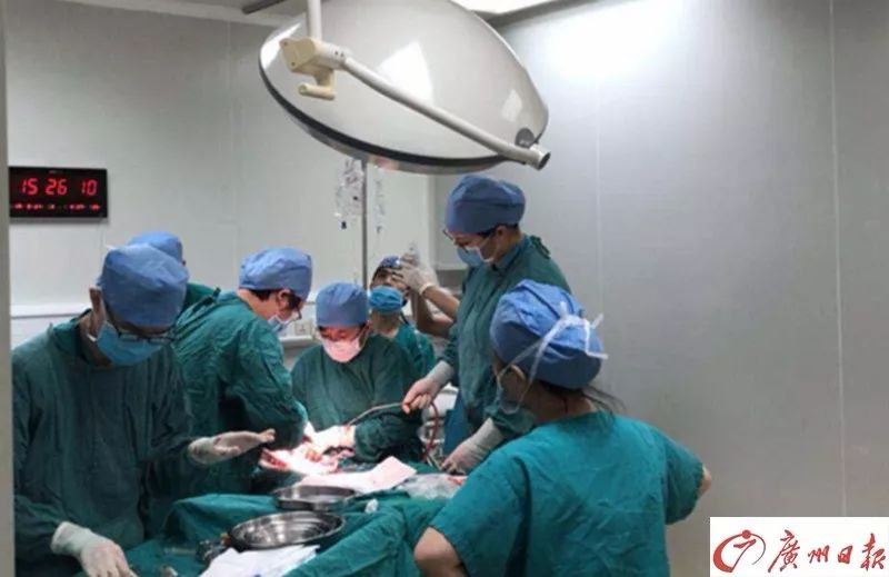 怀孕八个月胎死腹中的真实案例,怀孕初期胎死腹中是什么原因