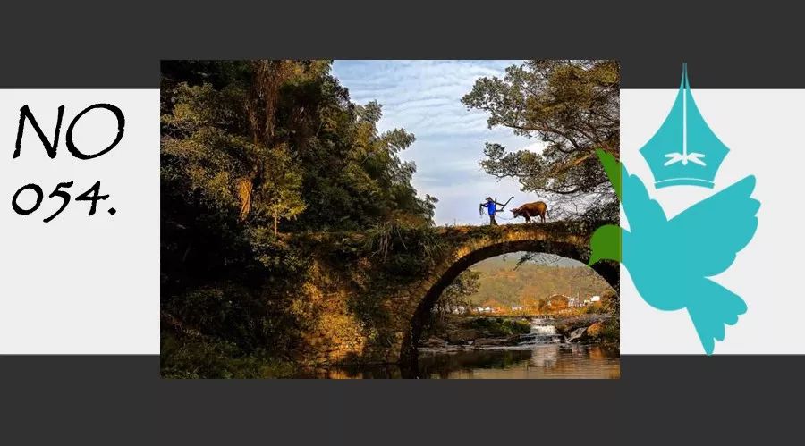 拉力绳每天练三十个有效果嘛,一条拉力绳练全身