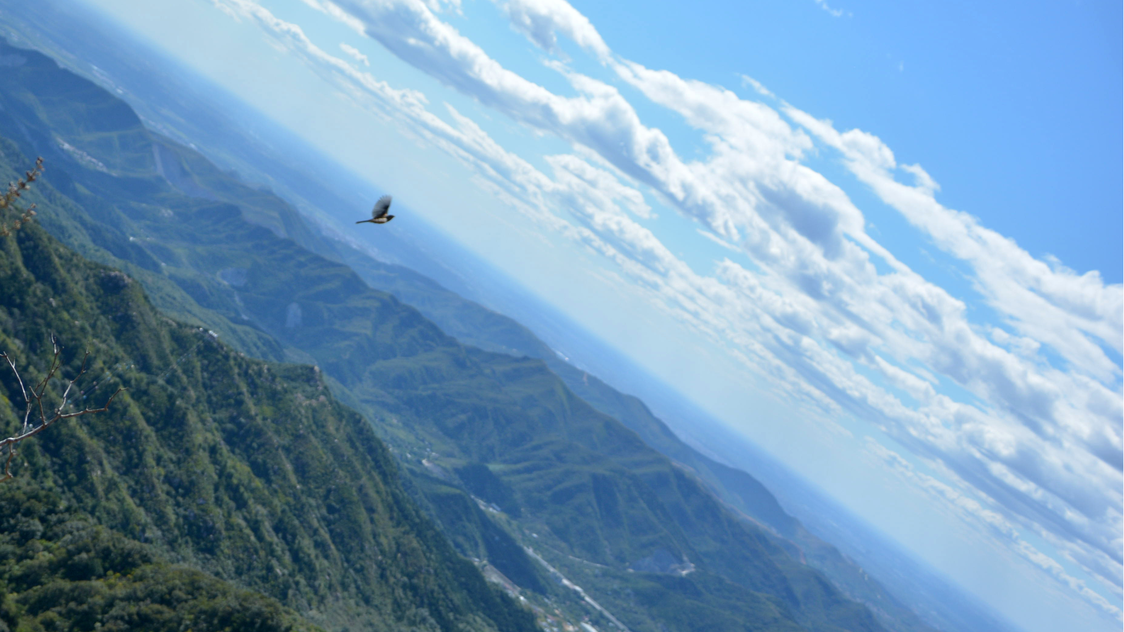 盘山旅游游记,盘山最新旅游攻略一日游