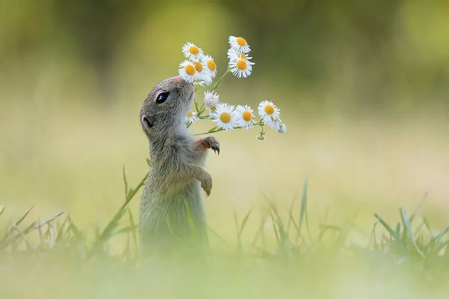 跑完步身上的汗很臭,跑完步身上一股汗臭得熏眼睛