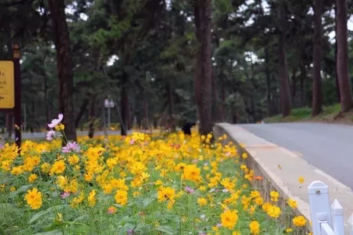 秋天适合旅游的地方易县,清西陵秋冬美景