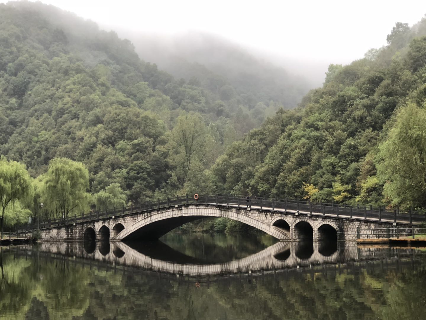 人间仙境洛阳栾川老君山,河南旅游景点推荐洛阳重渡沟