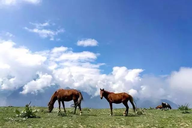 浮云牧场抖音完整版,浮云牧场在抖音上火了
