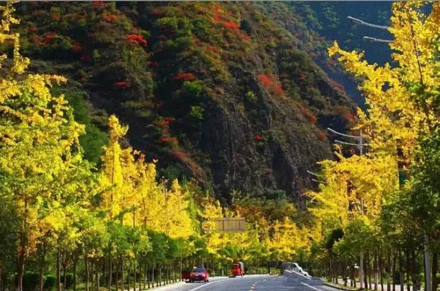 8条进藏绝美公路现在路况如何,进藏哪条路线风景最好