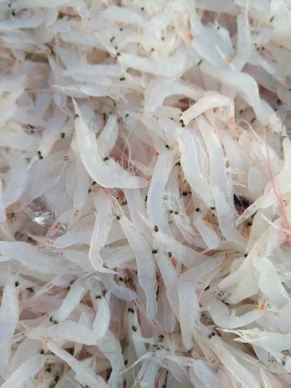 虾皮特级无盐补钙儿童,含钙量最高的食物排名虾皮和牛肉