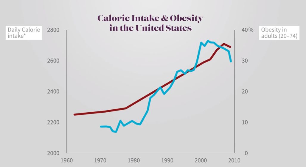 我们是怎么慢慢变穷的,我们是怎样胖起来的