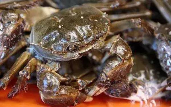 农秀才：农业农村部推荐100个休闲农业和乡村旅游精品景点线路