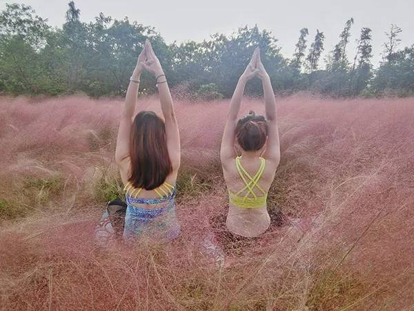 农秀才：农业农村部推荐100个休闲农业和乡村旅游精品景点线路